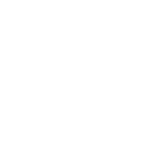 data dog